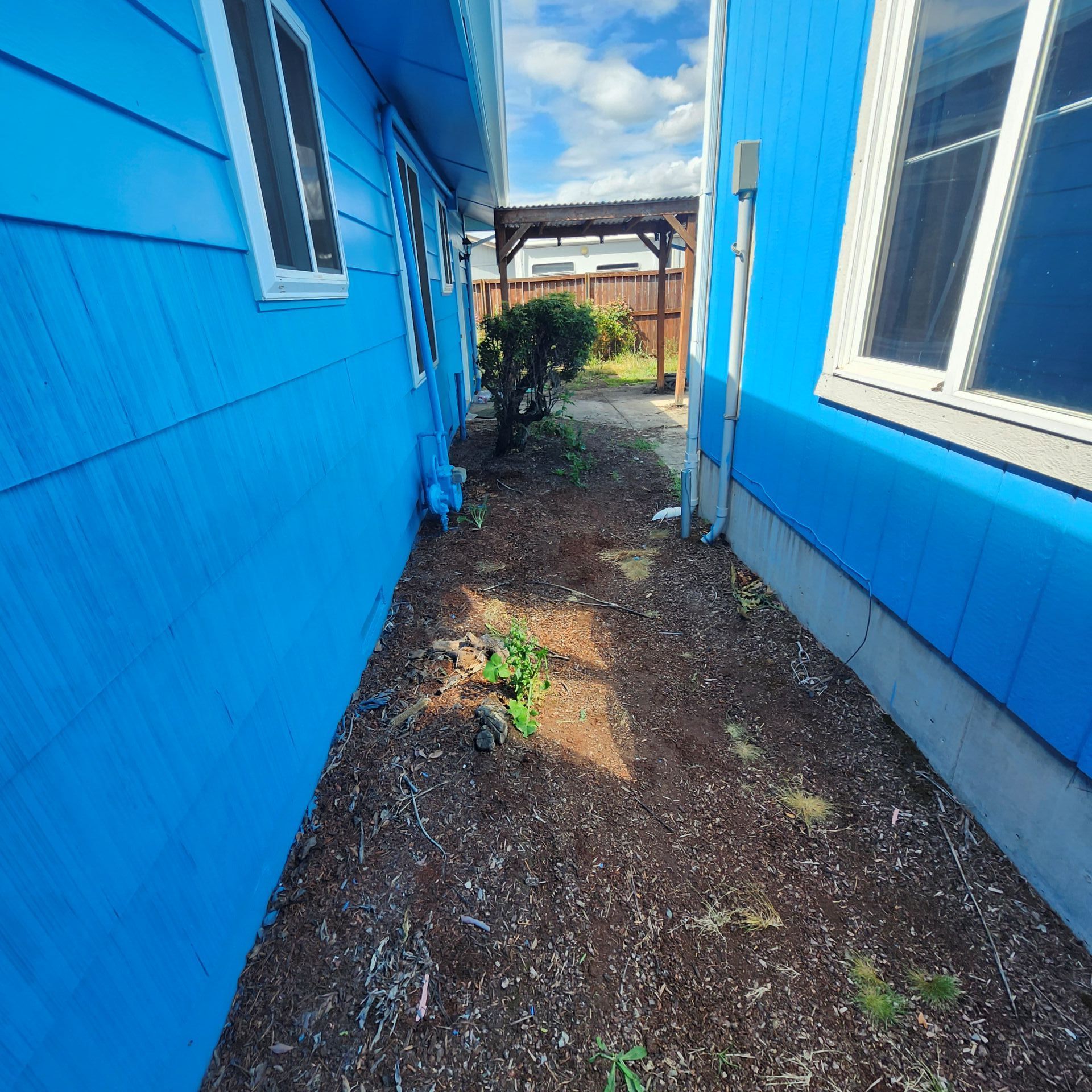 Narrow path between two bright blue buildings, leading to a wooden fence. Brown mulch covers the ground.