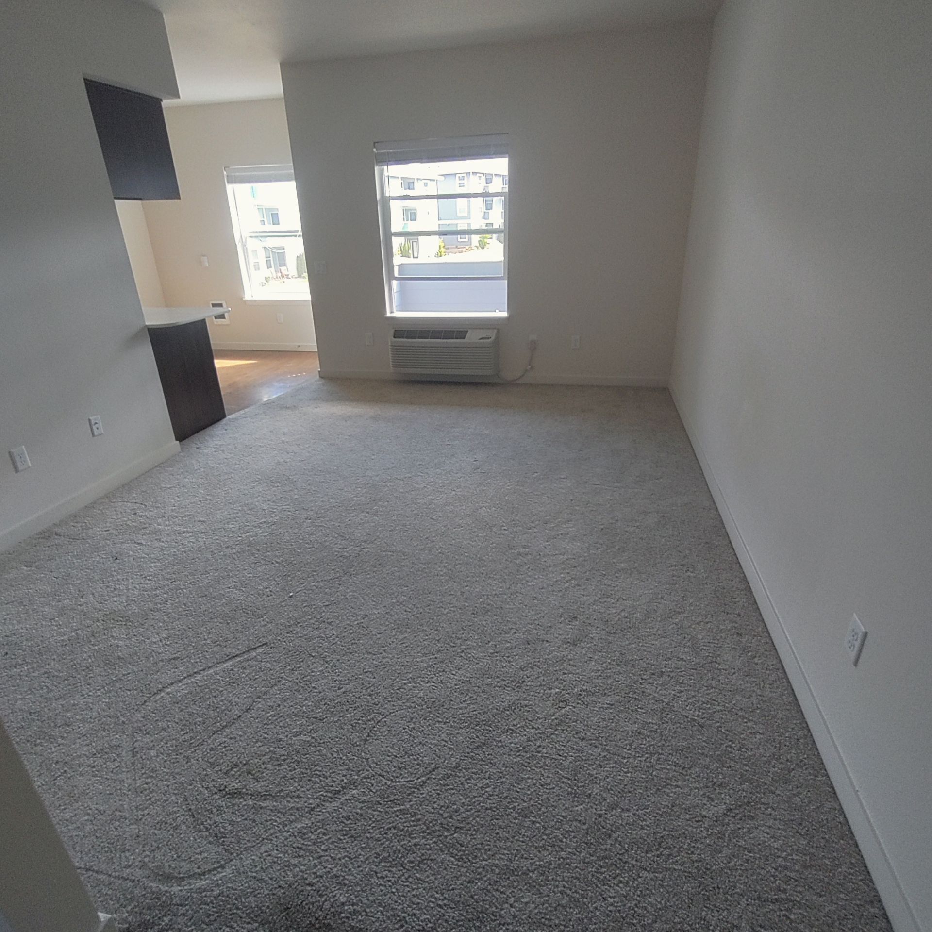 Empty room with gray carpet, white walls, and a window.