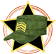 Green camouflage military cap with sergeant stripes, inside a black star, over a tan circle.