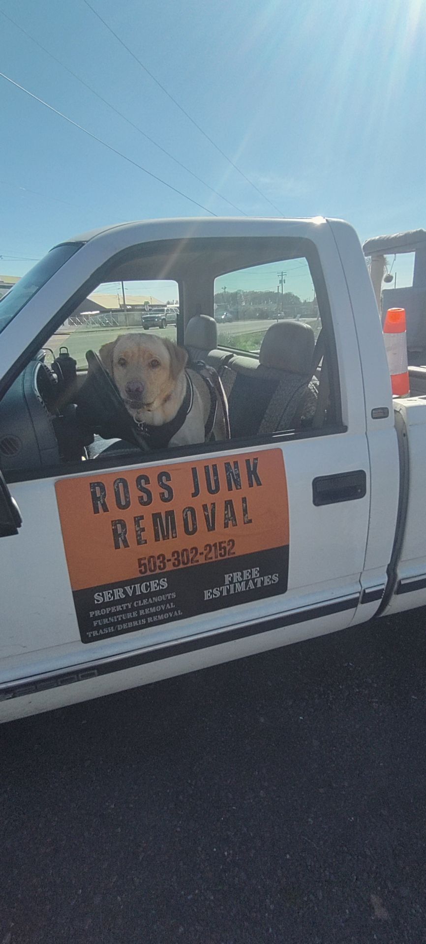 Dog in the driver's seat of a 