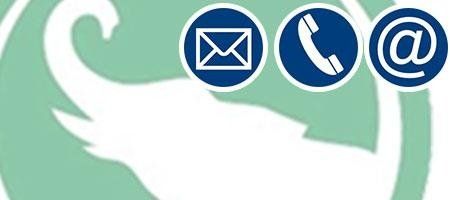 Luigini Ecologia video ispezioni Arcola La Spezia