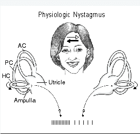 physiologic nystagmus