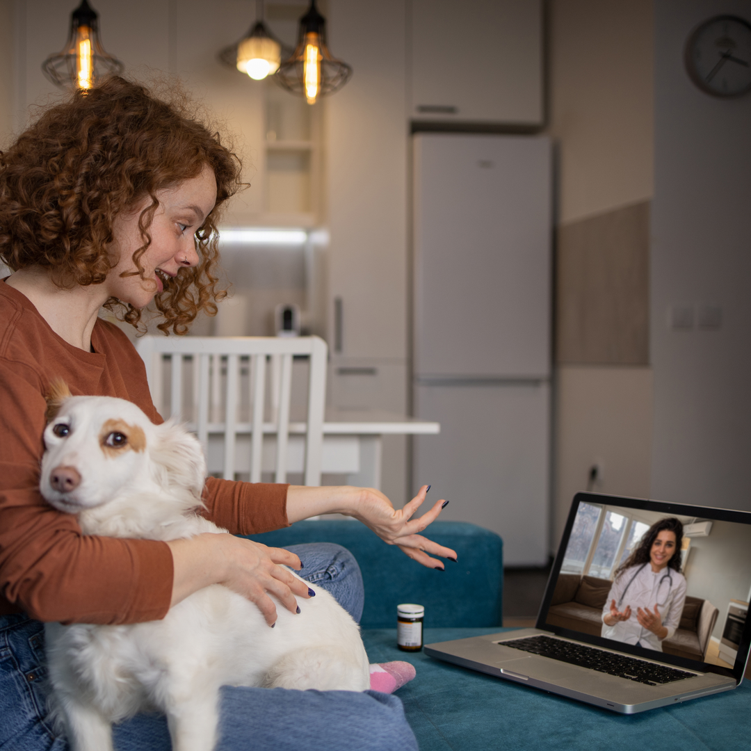 A teen girl holding a dog is having a telehealth visit with a doctor