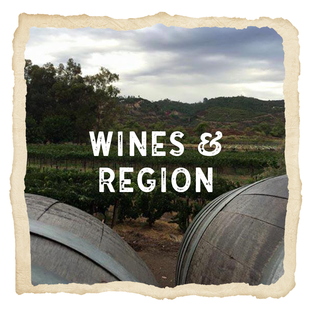 A picture of a vineyard with the words wines & region above it