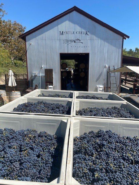 A bunch of bins filled with grapes in front of a building