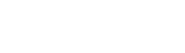 White Dove Release Service