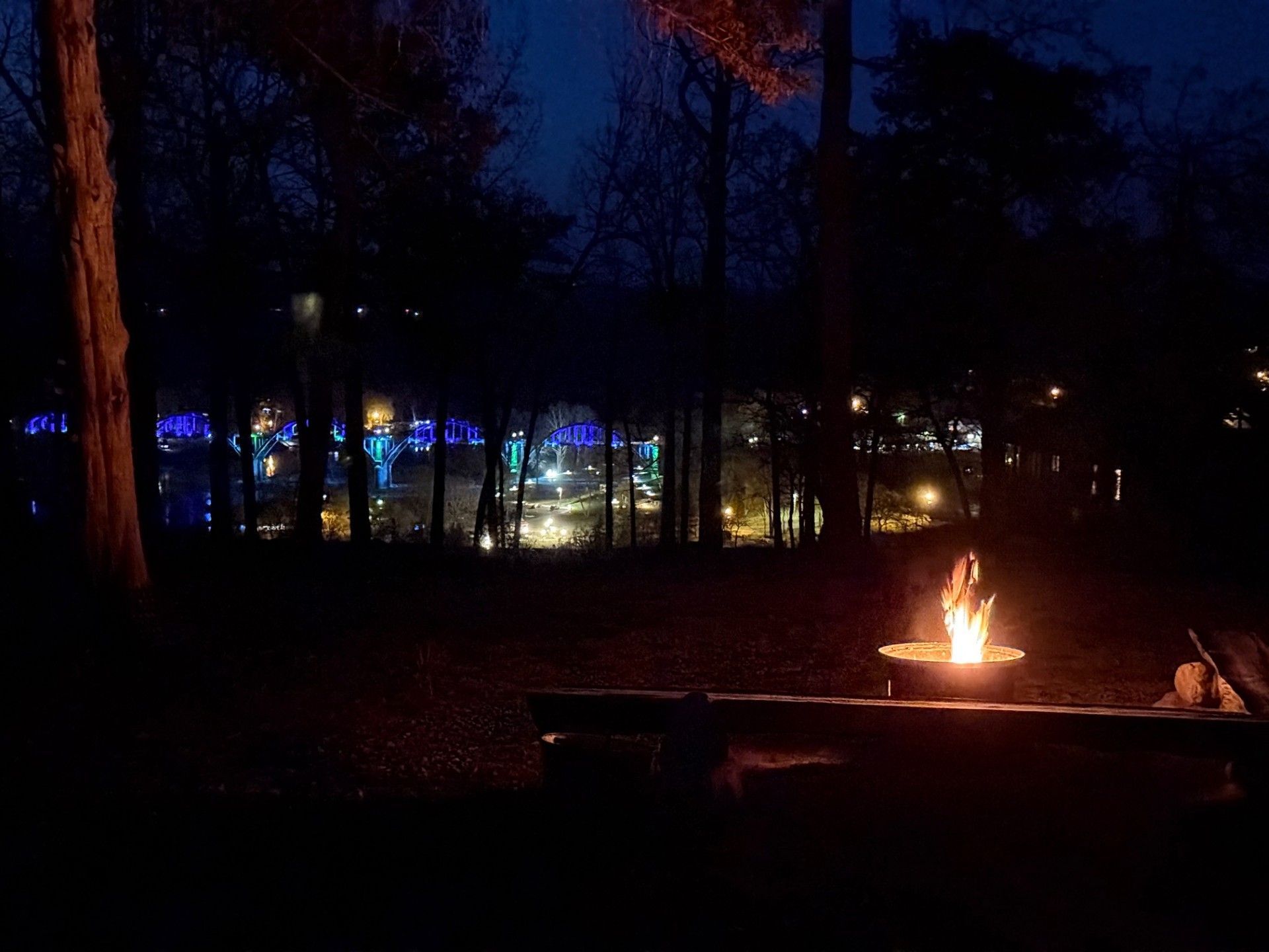 Campfire at night with a distant view of lights in the trees.