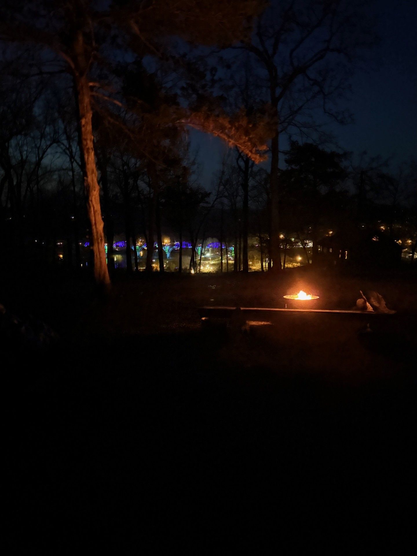 Night scene with a campfire in the foreground, trees, and lights in the background.