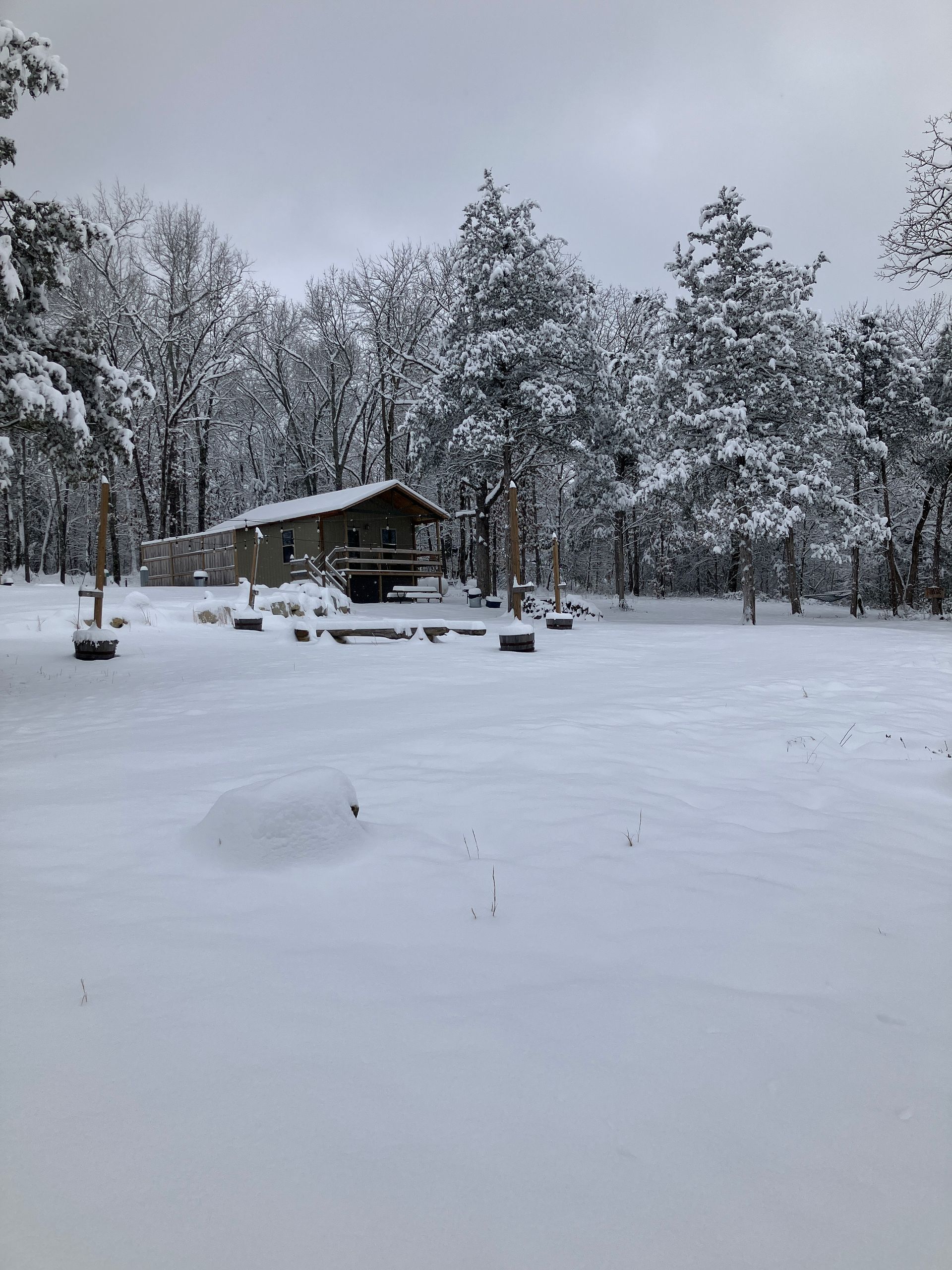 Snow-covered cabin in a forest clearing on a cloudy day. Trees and ground are coated in white.
