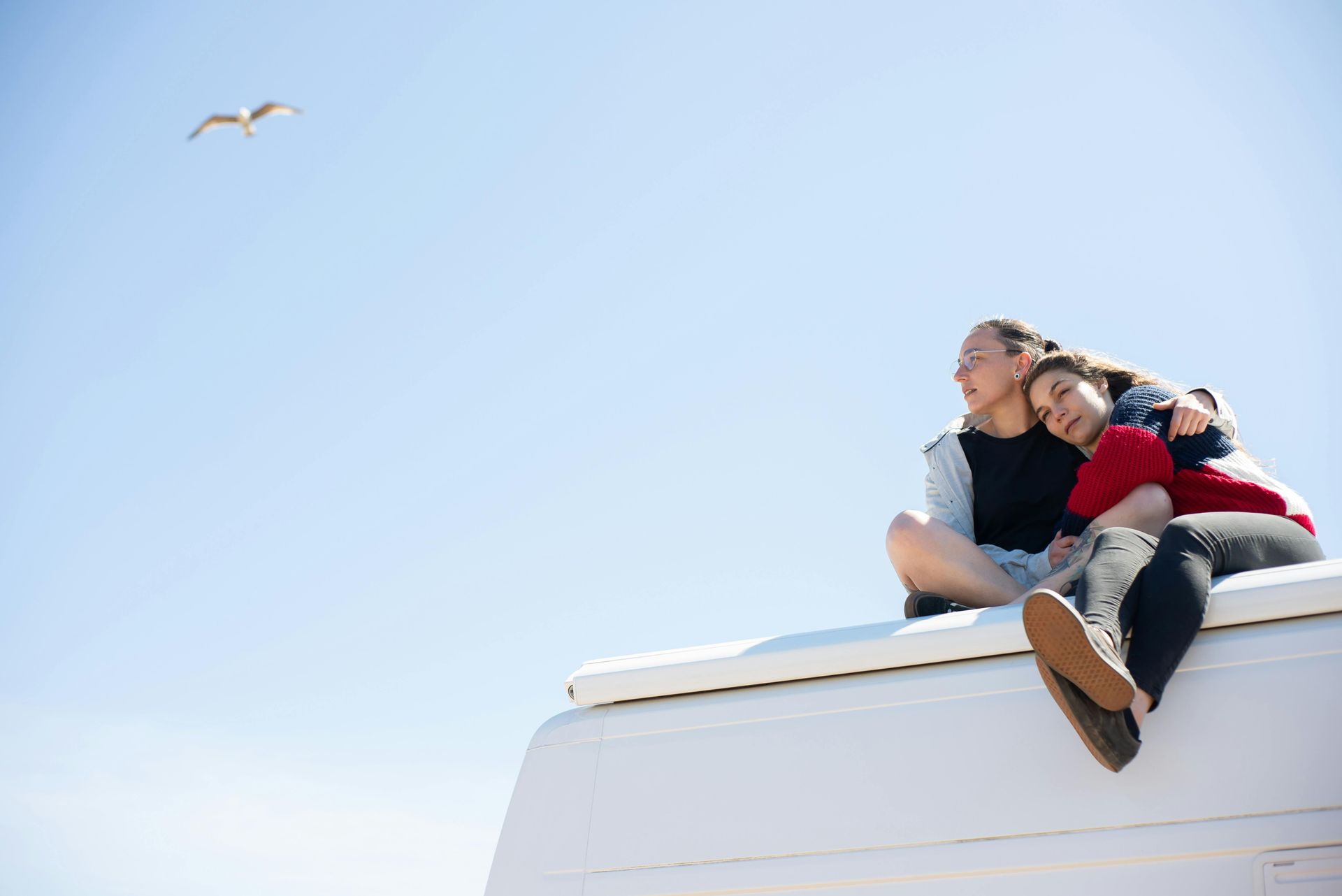 Two people sitting on a white surface, one with arm around the other, looking up at a seagull in a blue sky.