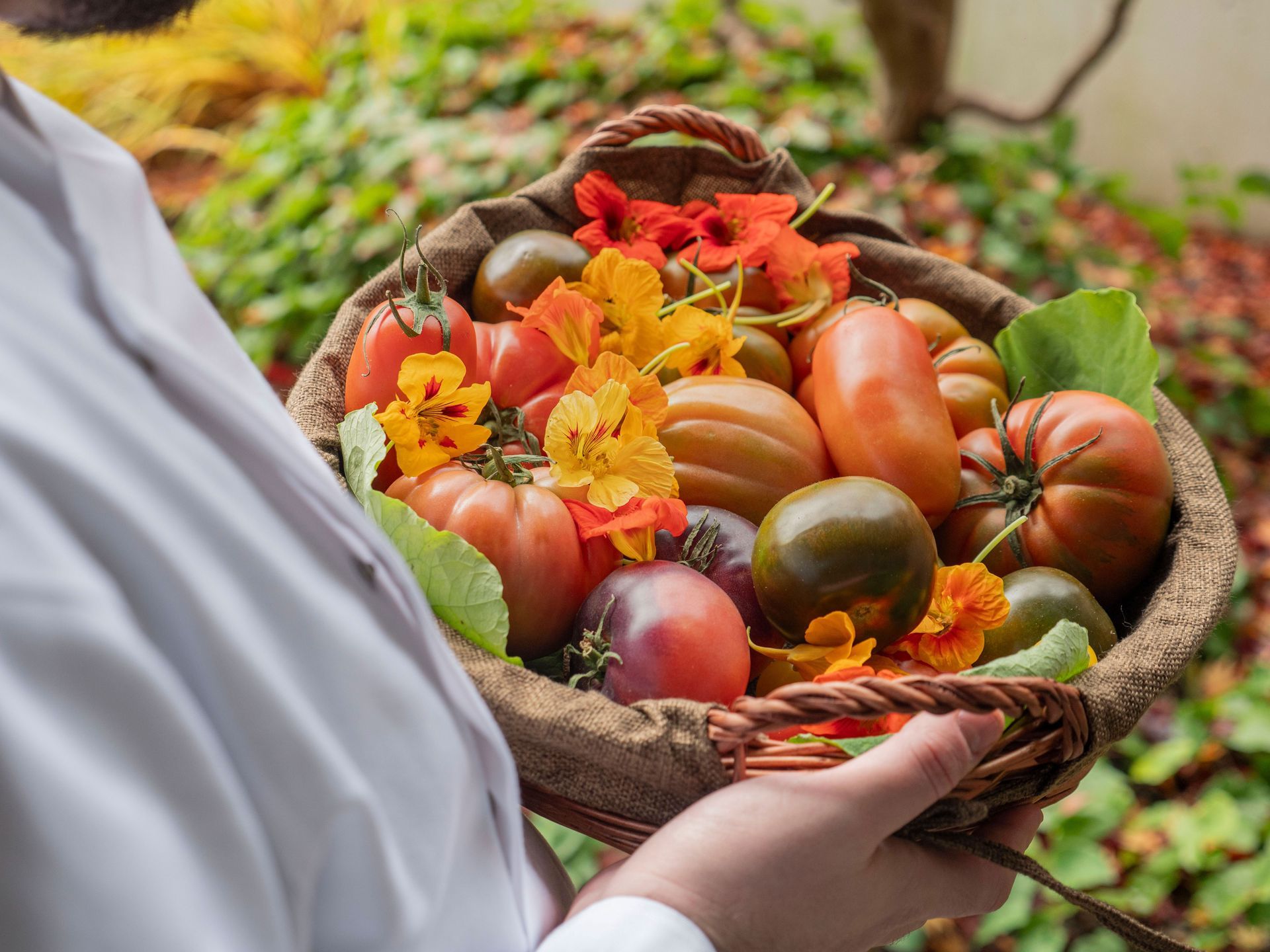 TOMATO SELECTION