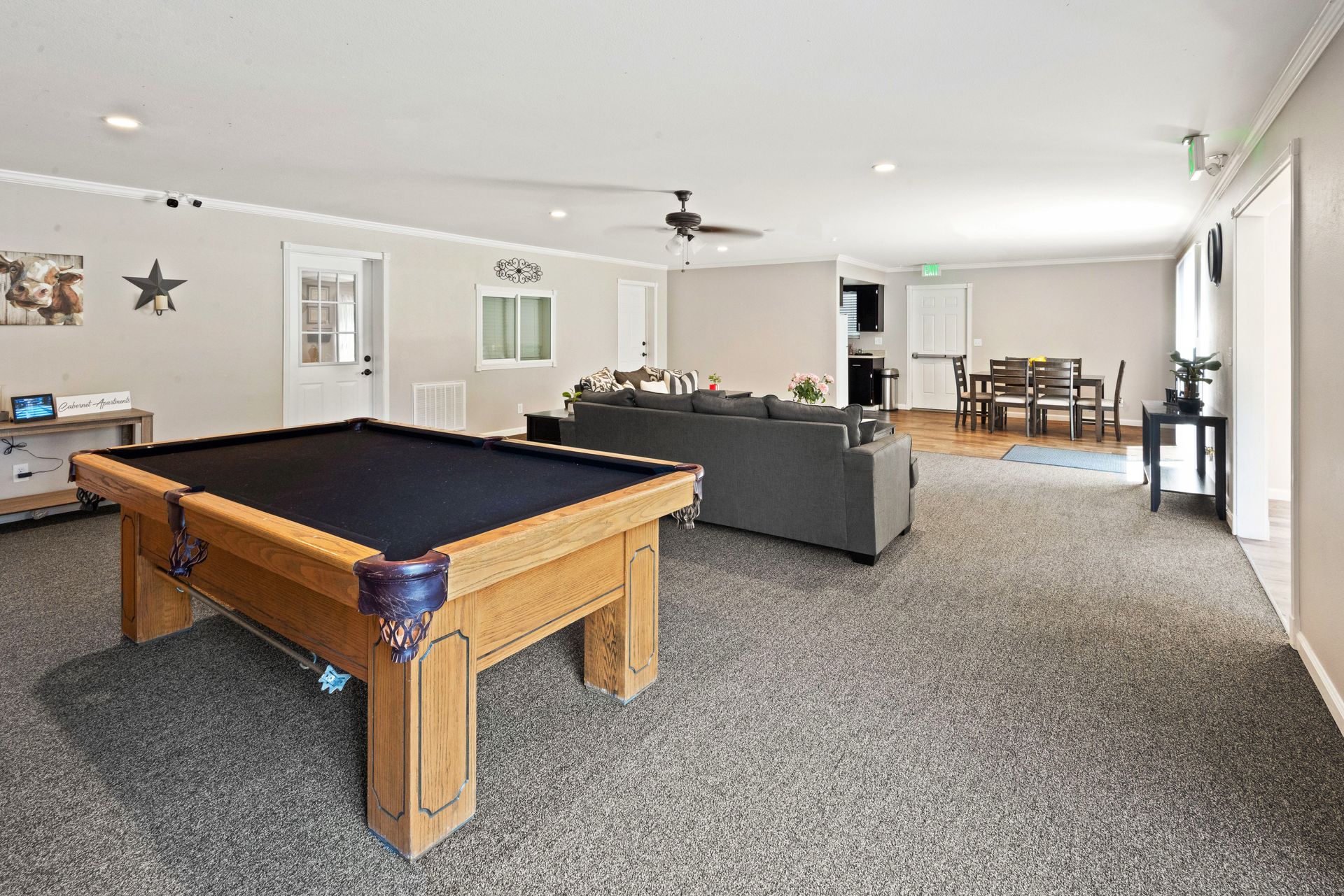 Peacock with vibrant blue neck and tail feathers stands in a dry, grassy field.