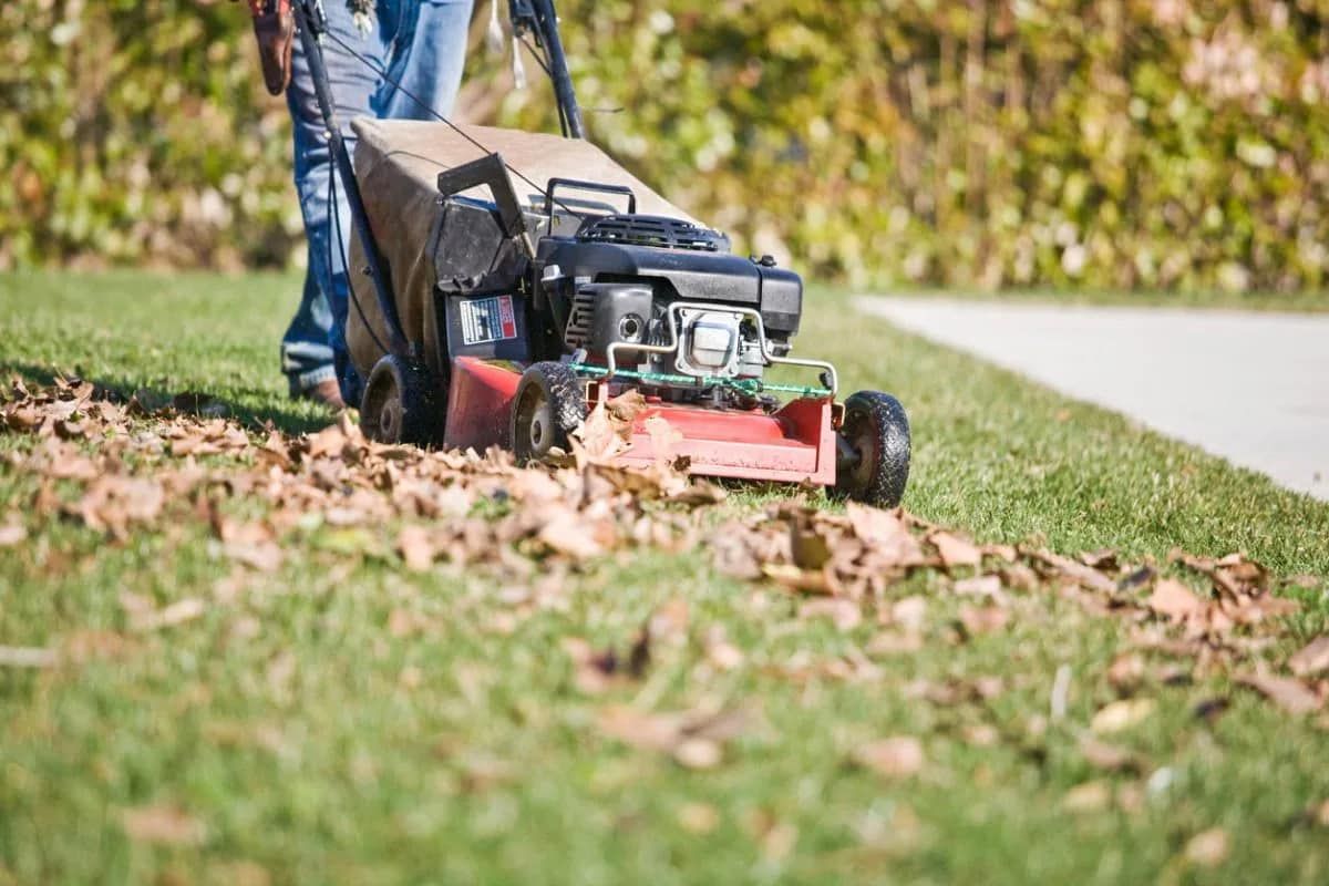 A man is using a lawn mower to remove leaves from the grass.