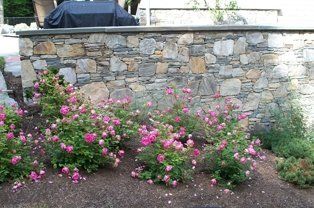 Amazing Landscape — Providence, RI — S & A Construction Inc.