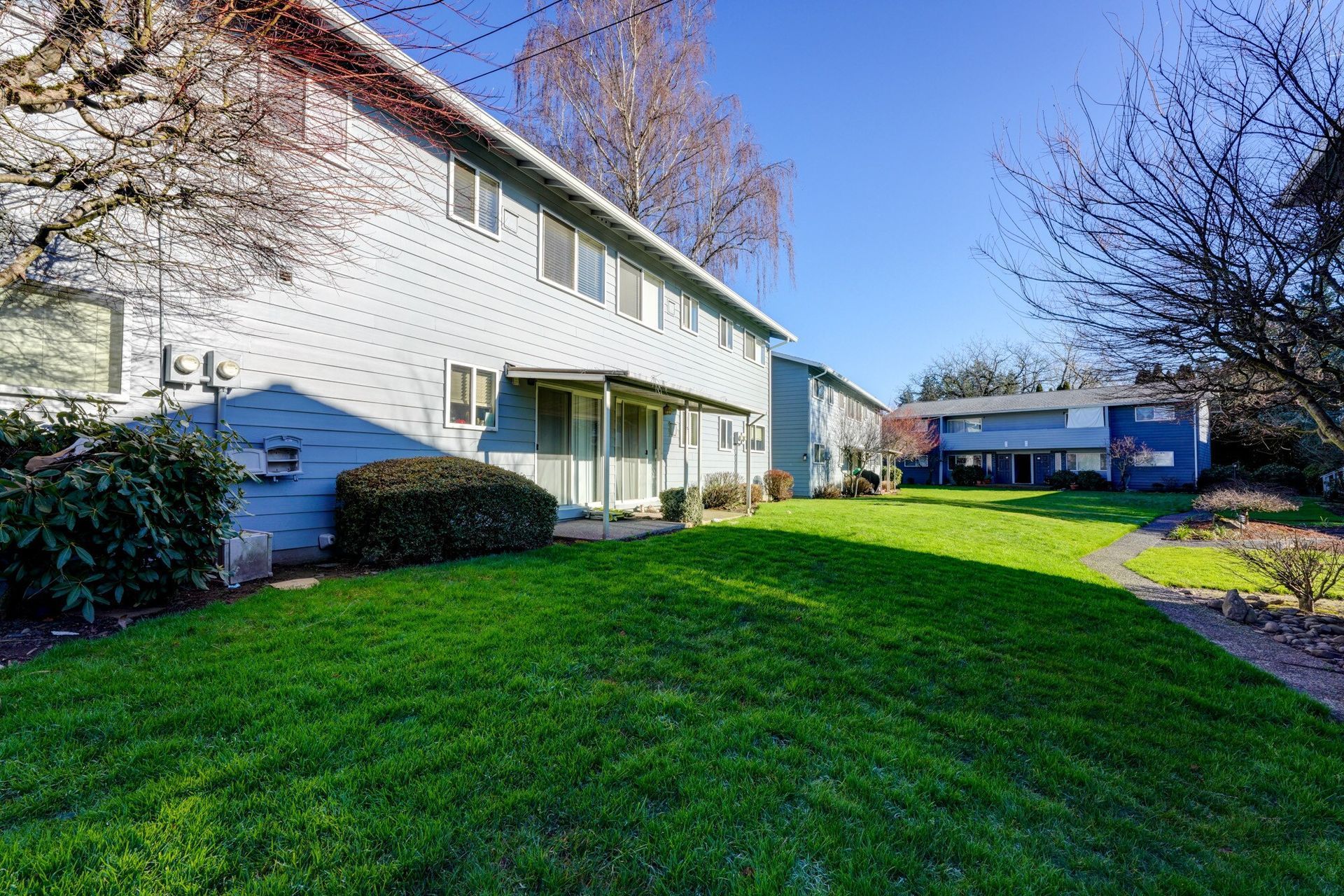 Backdoor view of Ivy Terrace apartments