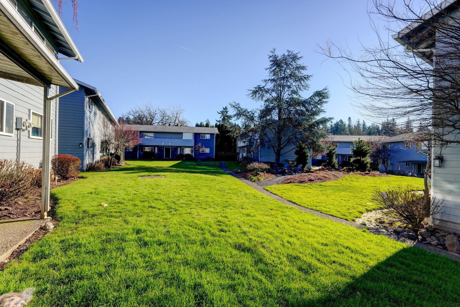 Grassy area view of Ivy Terrace apartments