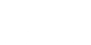 Raines Plumbing LLC logo