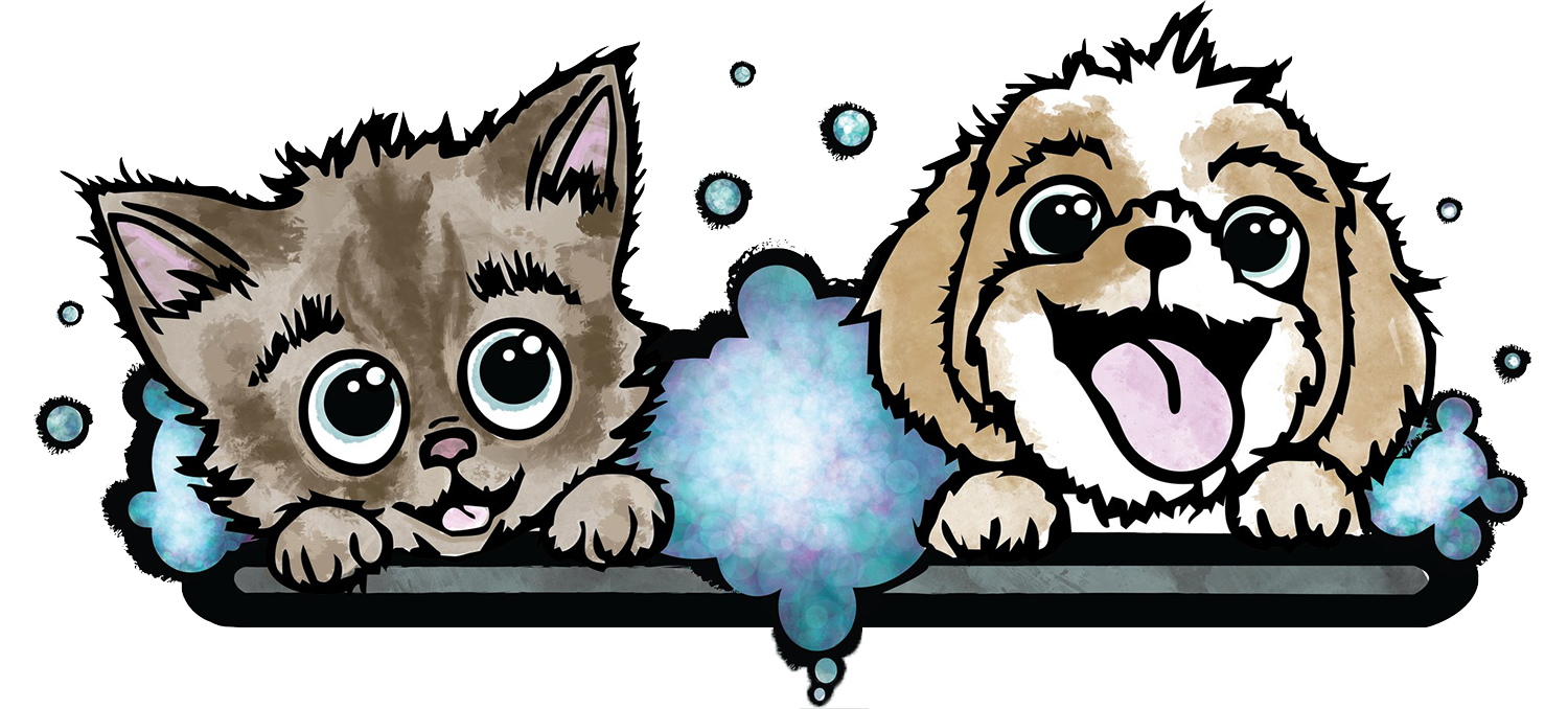 A cat and a dog are sitting next to each other in a bathtub.