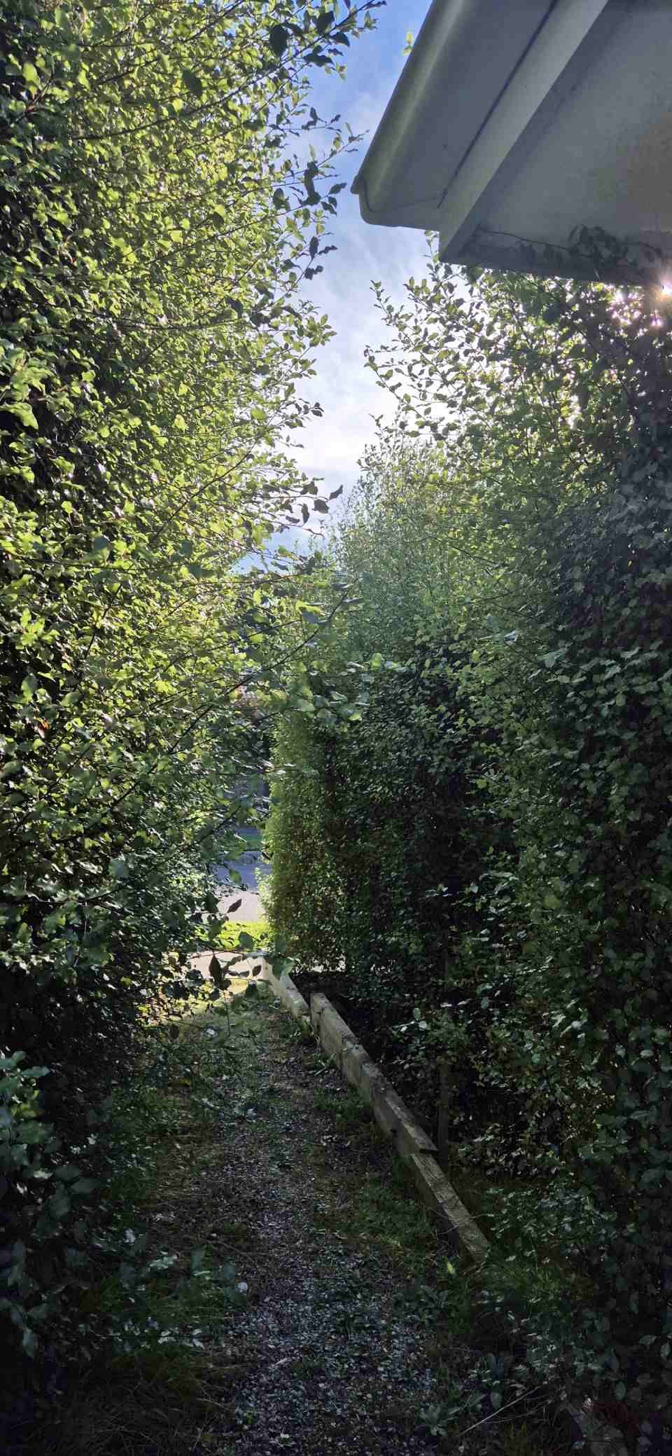 A path leading to a house surrounded by trees and bushes.