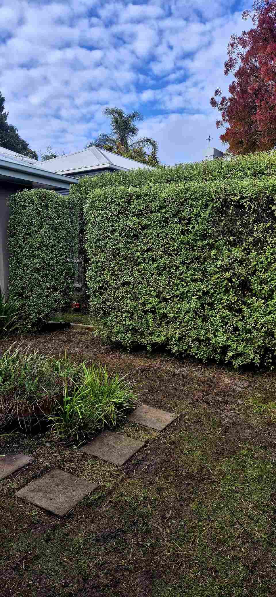 A house with a lush green hedge in front of it.