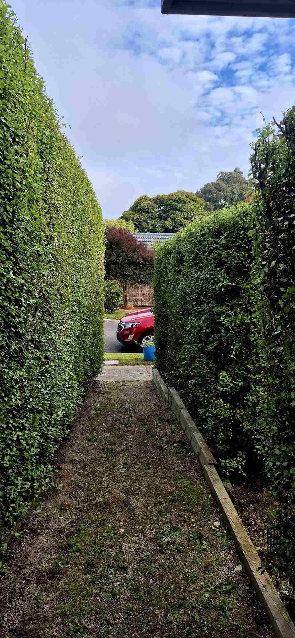 A red car is parked in the middle of a hedge.