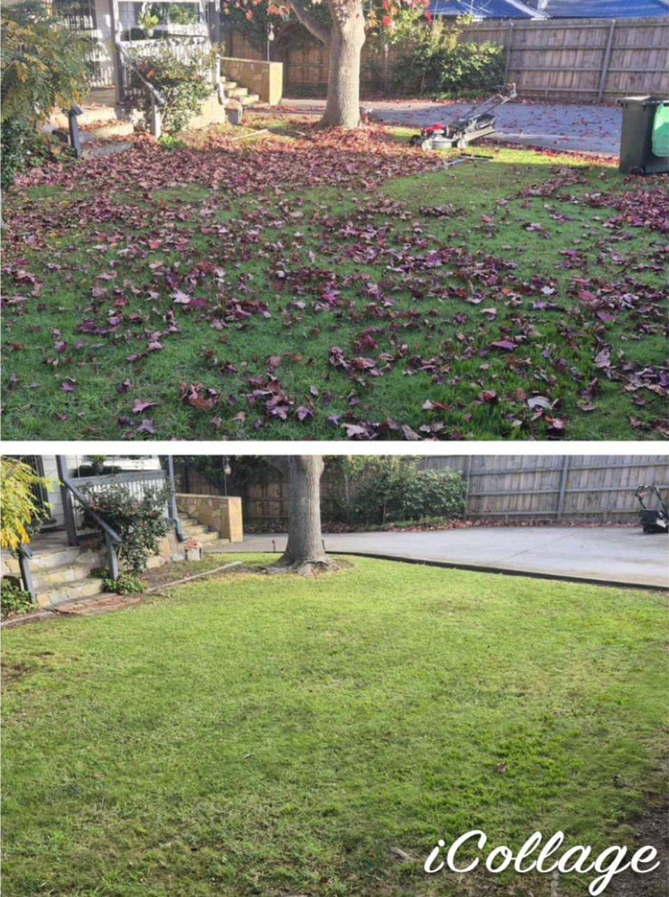 A before and after picture of a lawn with leaves on it.