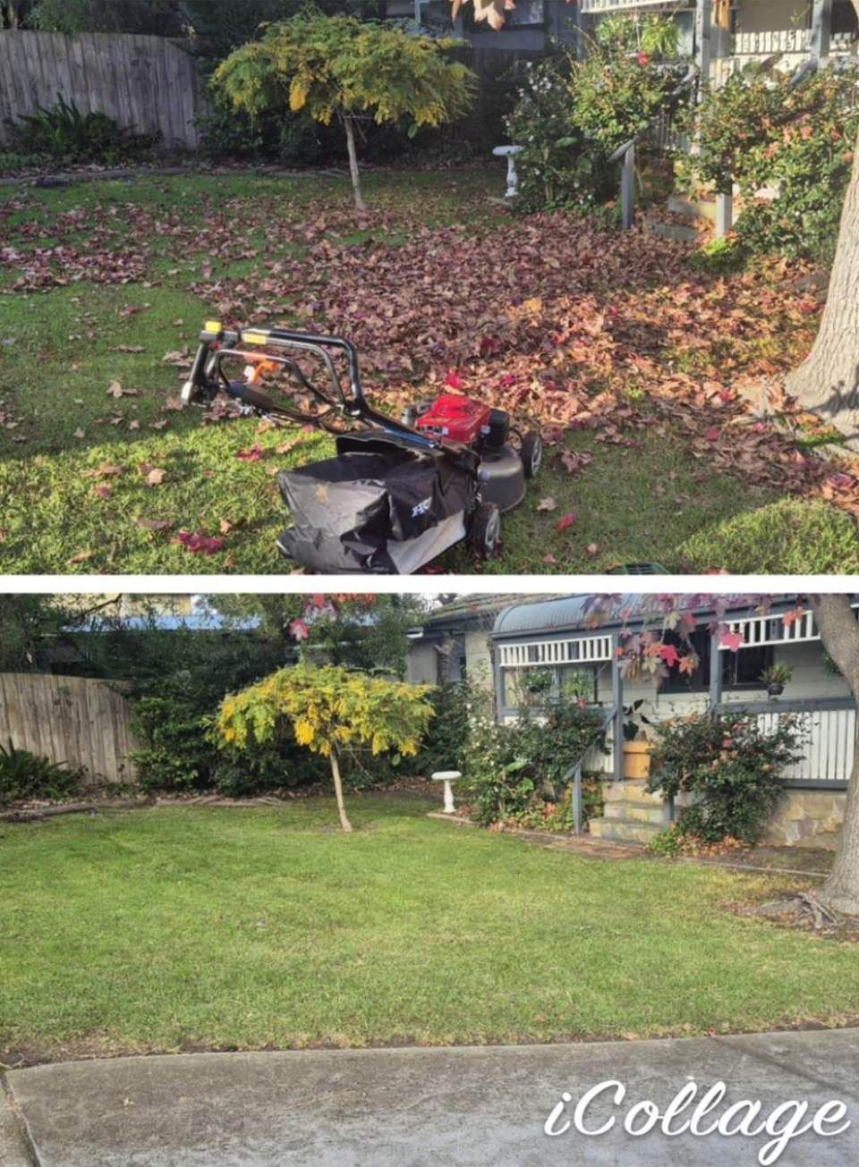 A before and after picture of a lawn with a lawn mower.