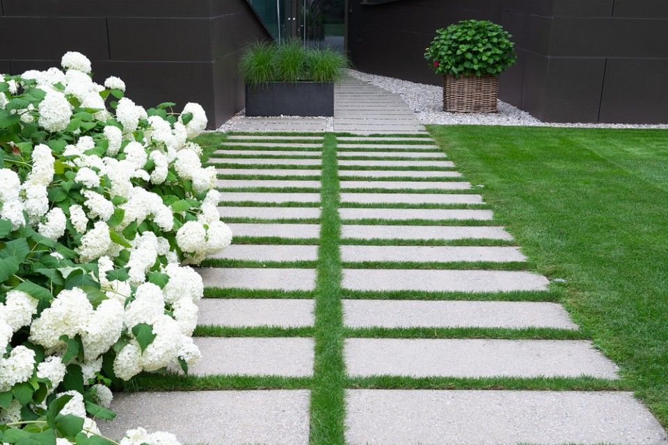 A walkway with white flowers on the side of it