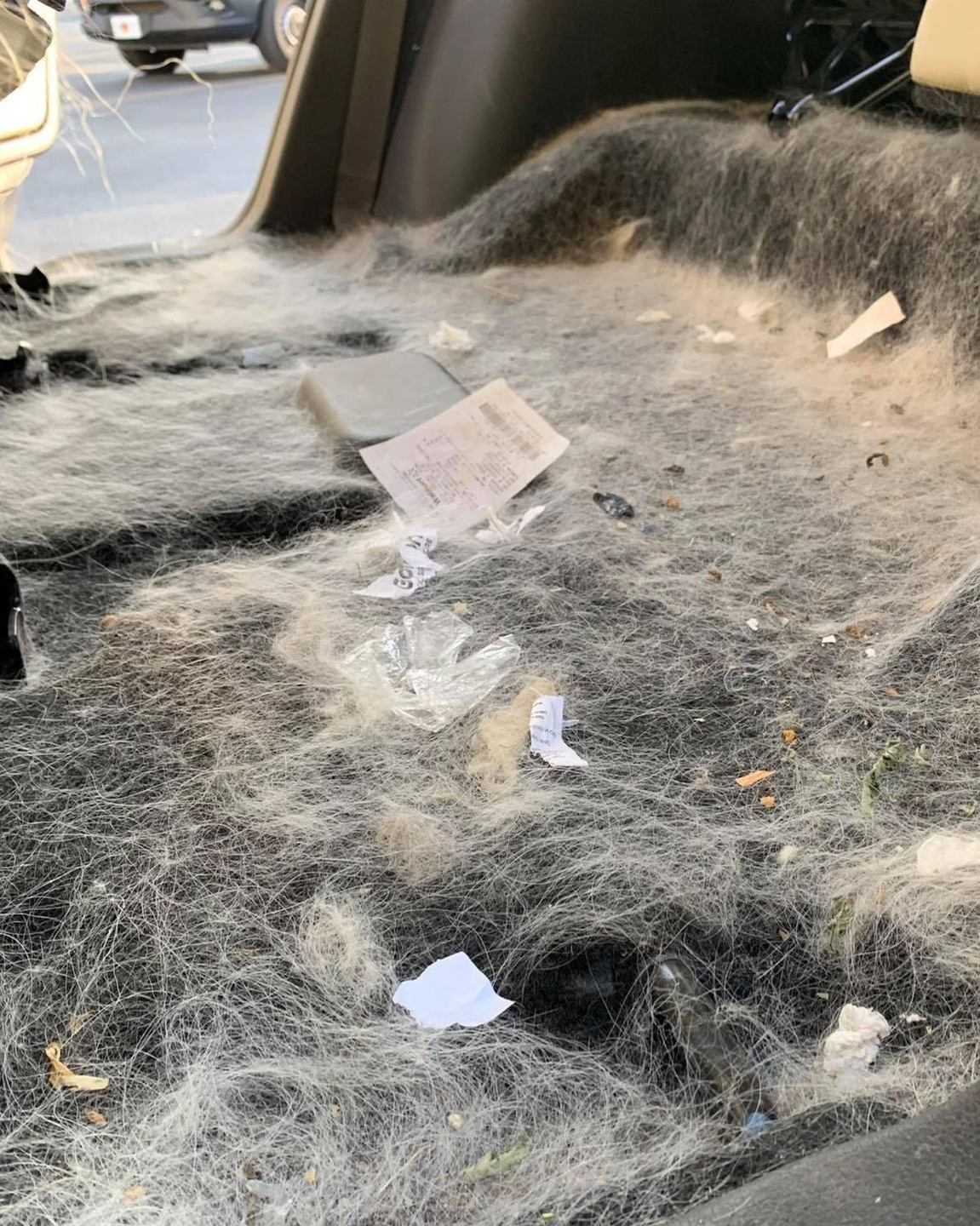 Interior car floor covered in dense animal fur and debris.