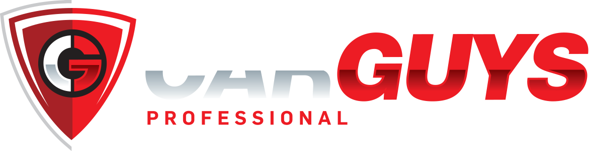 CarGuys Professional Auto Detailing logo