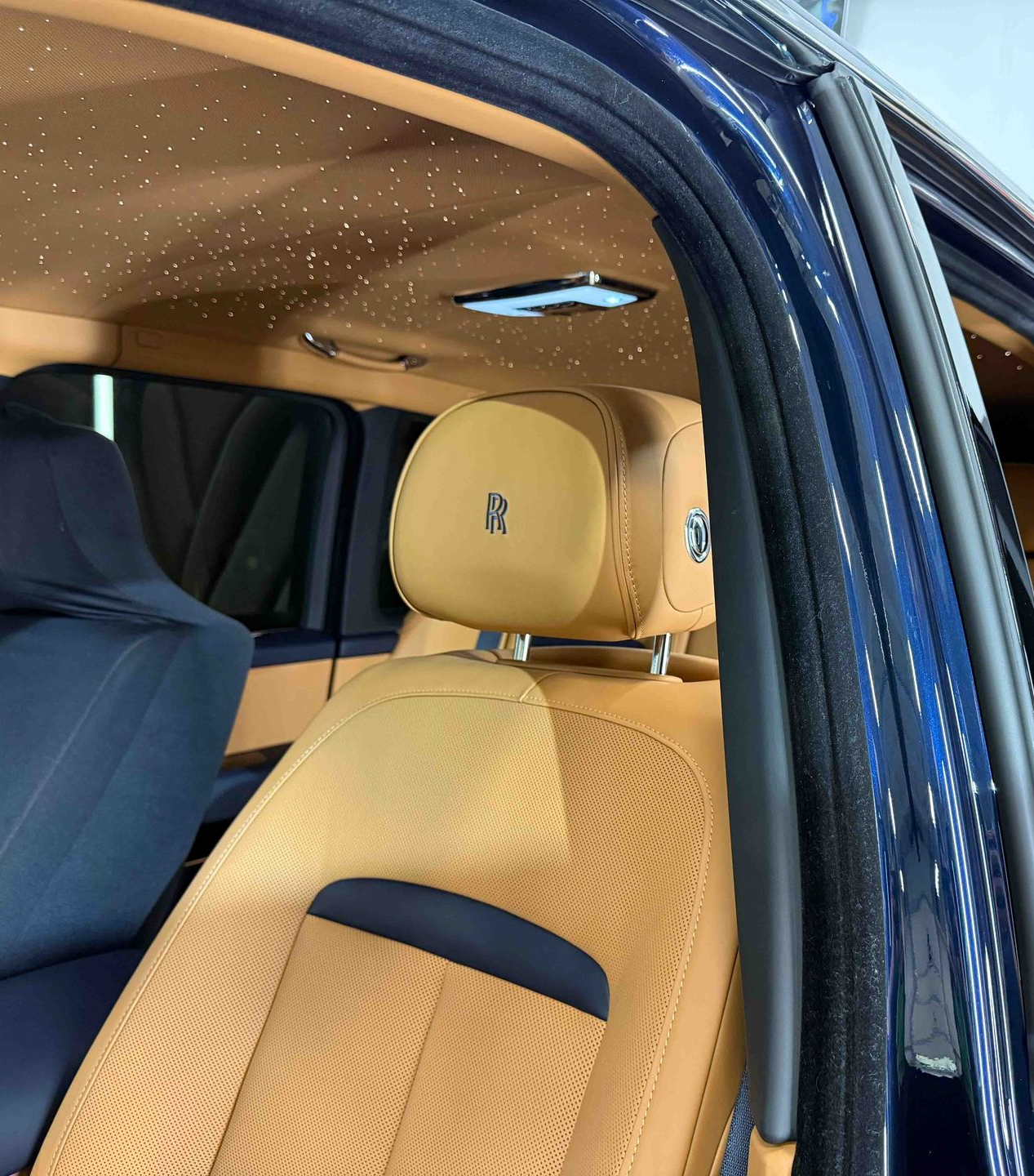 A close up of water drops on the hood of a car