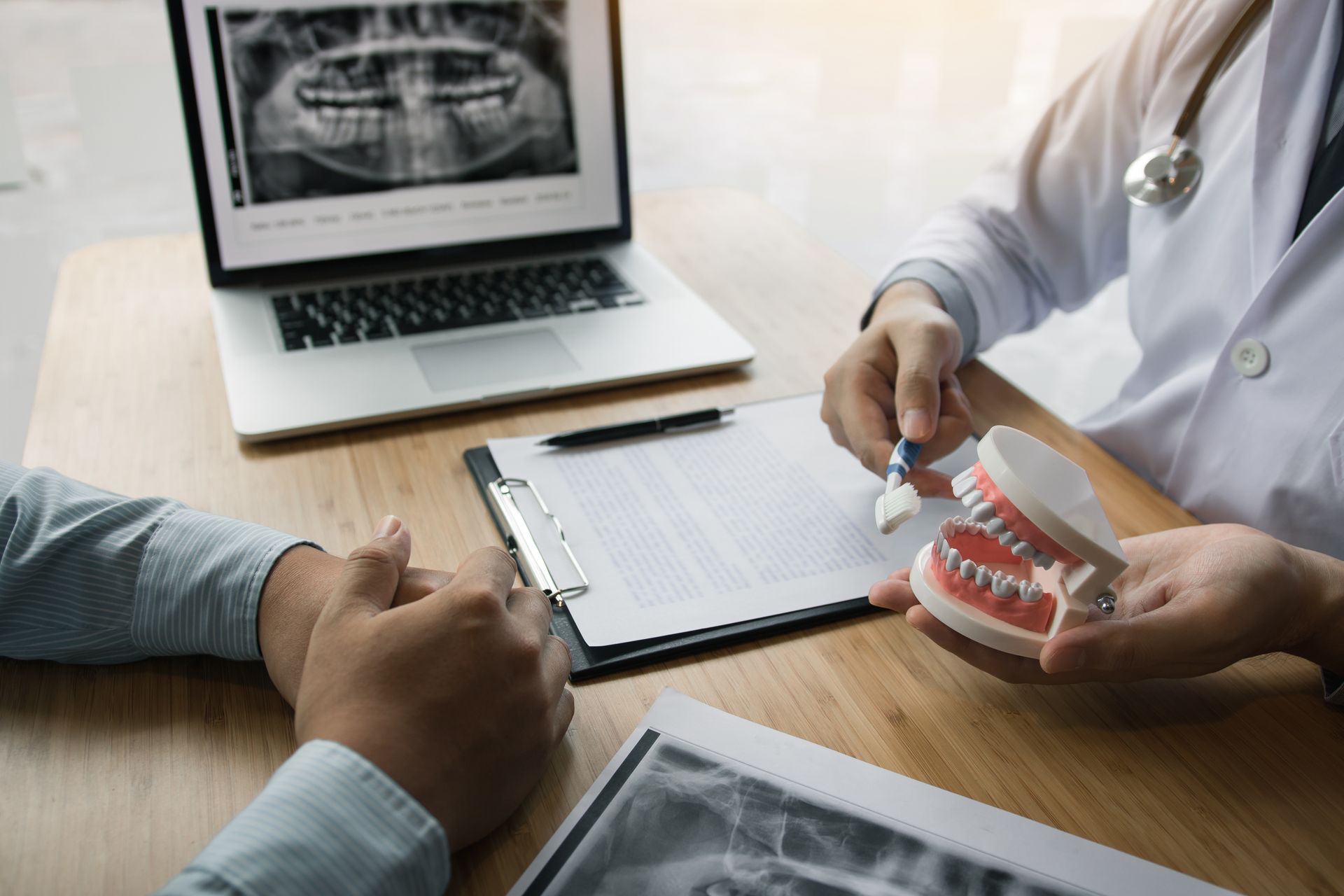 A dentist is talking to a patient while holding a model of teeth.