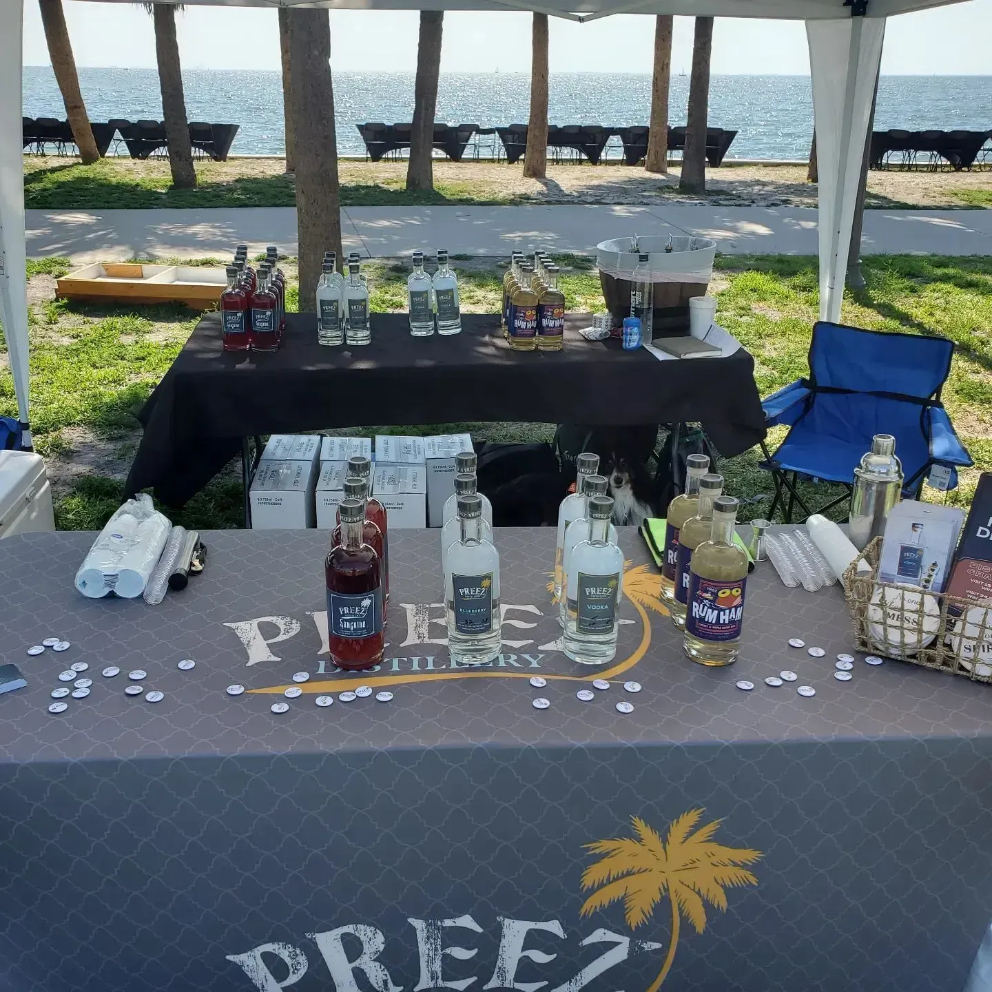 A booth with bottles of alcohol, a black table cloth, and a palm tree logo on a sunny day by the beach.