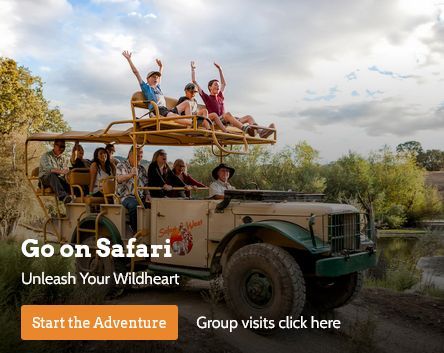 Safari-West