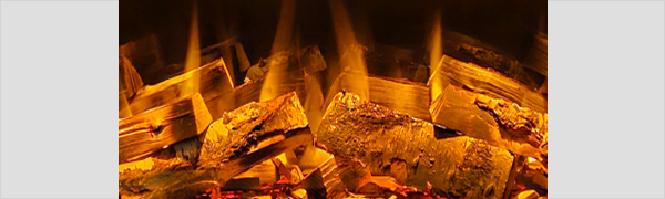 british fires black edition logo