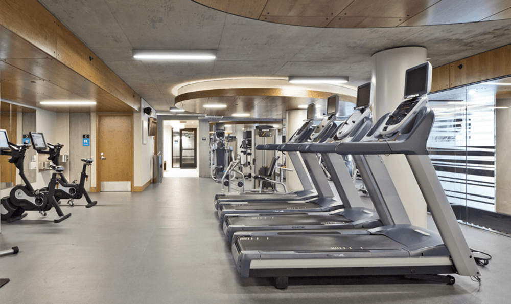 Indoor gym with treadmills and stationary bikes in a modern fitness center.