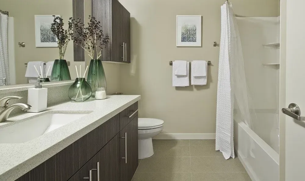 Bathroom interior with a double vanity, mirror, towels, and a shower/tub.