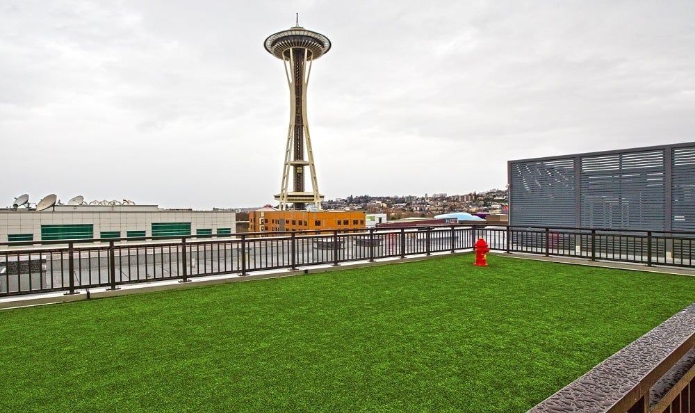 Rooftop terrace with artificial grass and a railing, with the Space Needle in the distance.