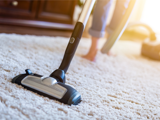 Carpet Cleaning with Sunshine