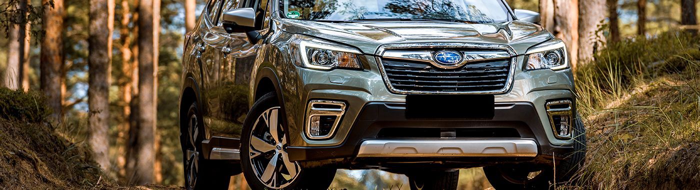 Green Subaru Forester on a forest road.