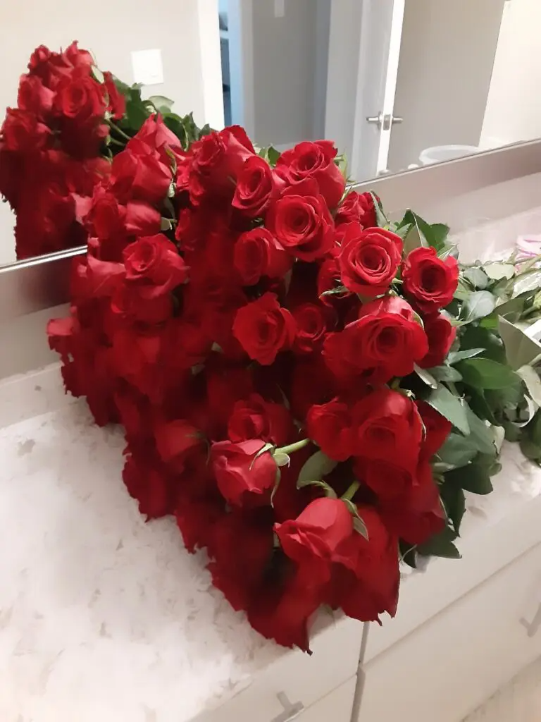 A bunch of red roses are sitting on a counter in front of a mirror.