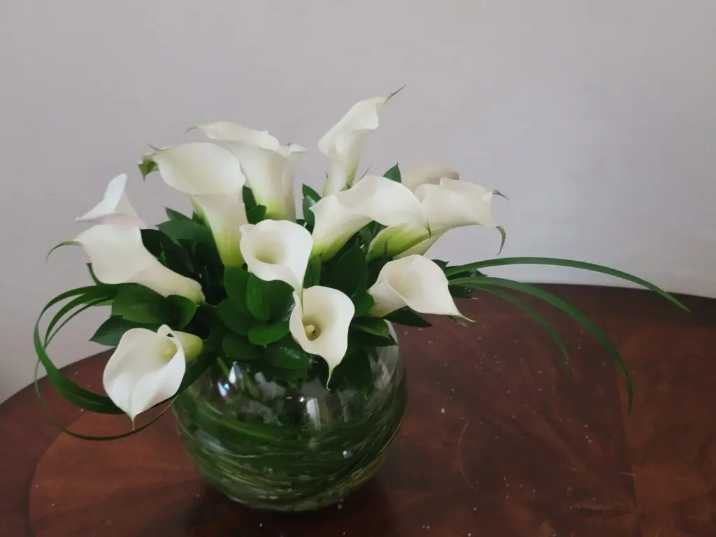 A vase filled with white flowers sits on a wooden table