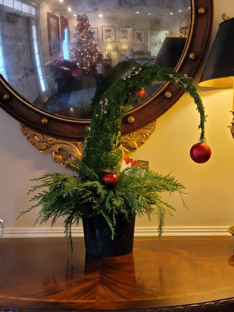 A christmas tree in a vase on a table in front of a mirror.