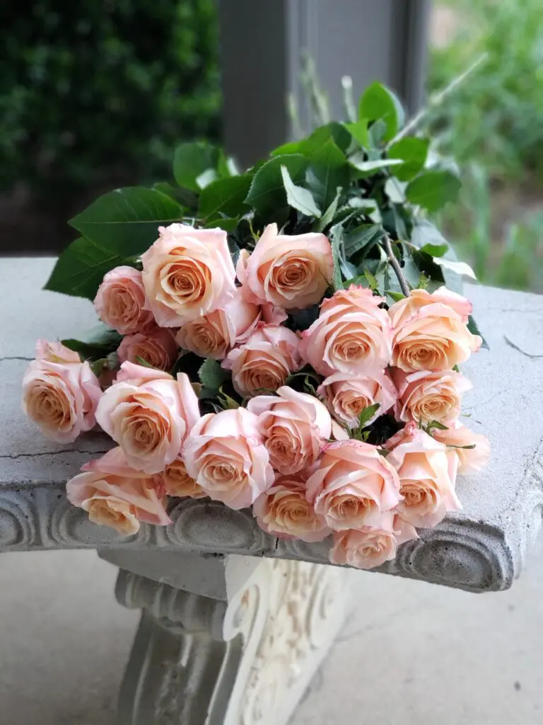 A bouquet of pink roses is sitting on a stone bench.