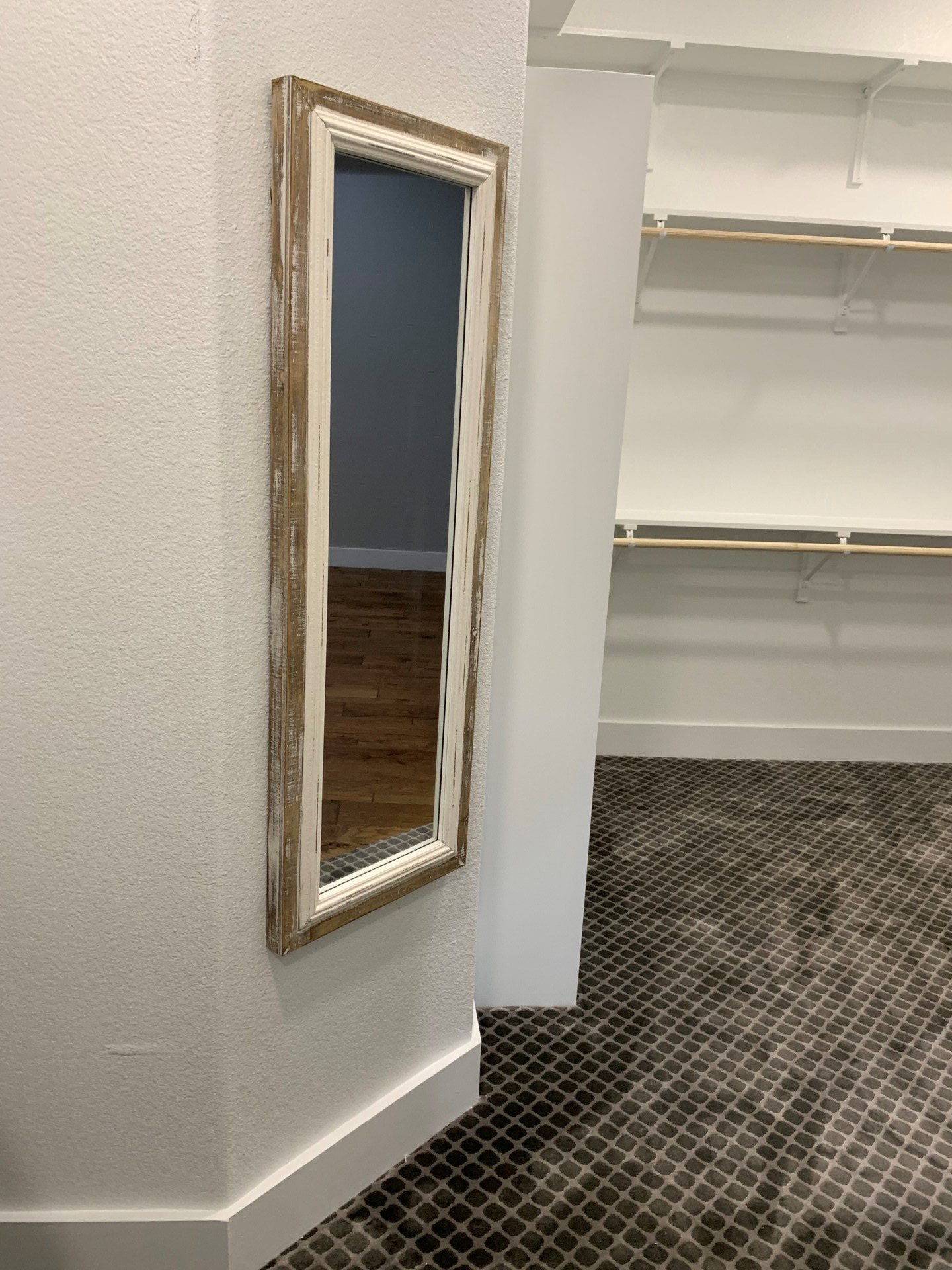 A large mirror is hanging on a wall in a walk in closet.