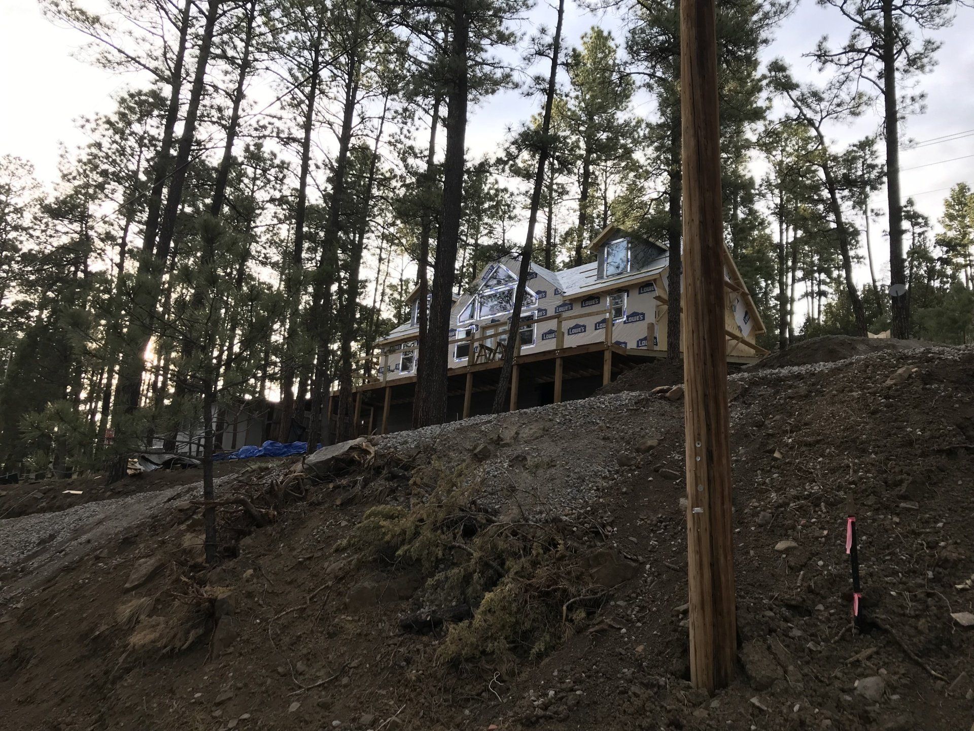 A house is being built in the middle of a forest