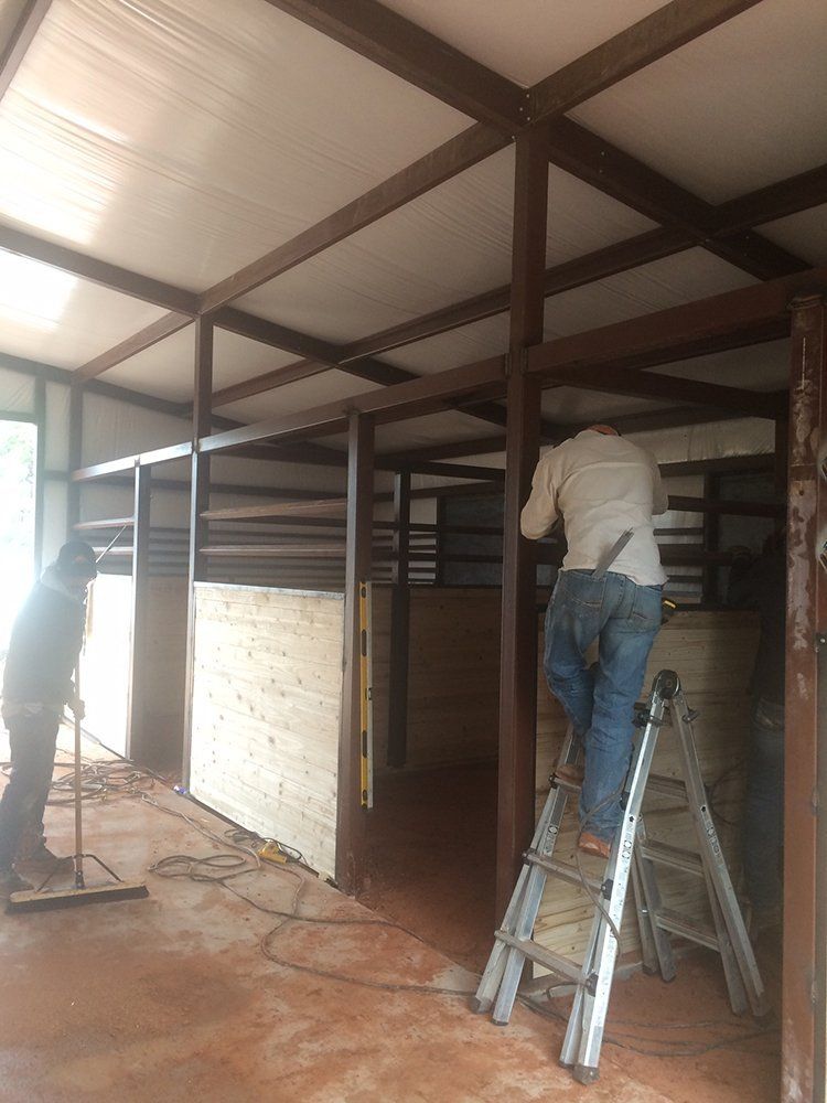 A man is standing on a ladder in a room.