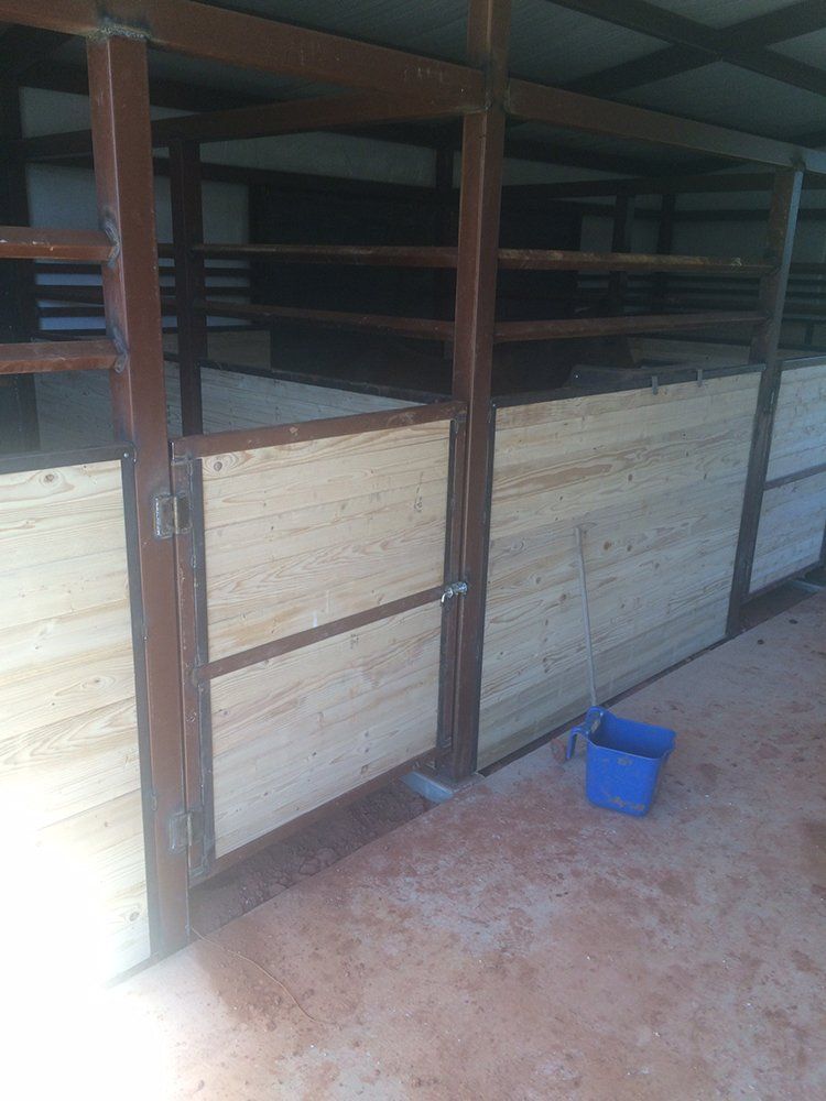 A blue bucket is sitting on the ground in front of a wooden fence.