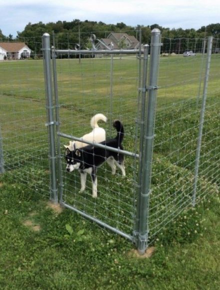 chainlink fence 5