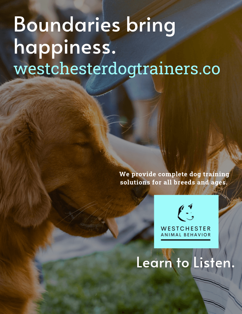 Dog Trainer & Private Dog Training in Westchester County, NY | Westchester Animal  Behavior